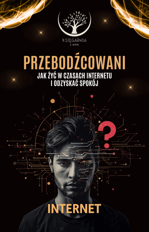 Przebodźcowani - Jak żyć w czasach Internetu i odzyskać spokój